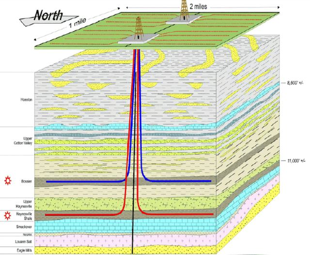 Haynesville shale