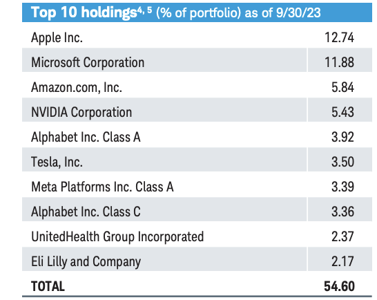 SCHG ETF Top 10 Holdings